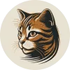 Tabby