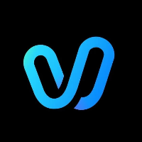 Vidu Logo