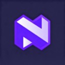 Neural4D