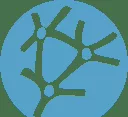 OpenNN Logo