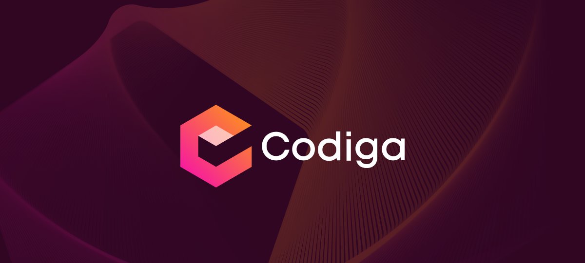 Codiga产品截图